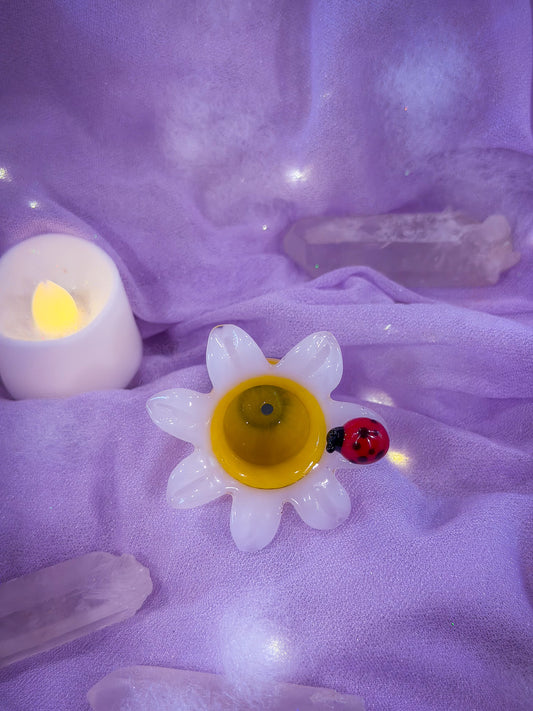 🌼 Ladybug Bloom Bowl