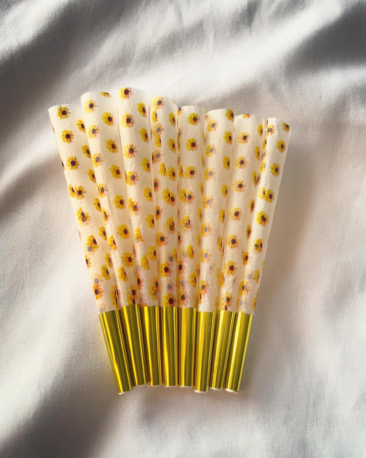 Sunflower Cones