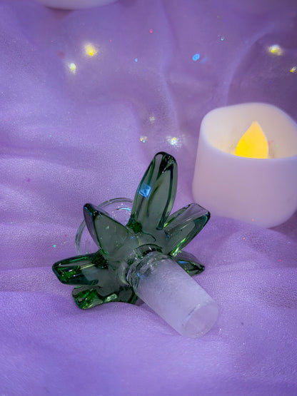 Magical Leaf Bowl
