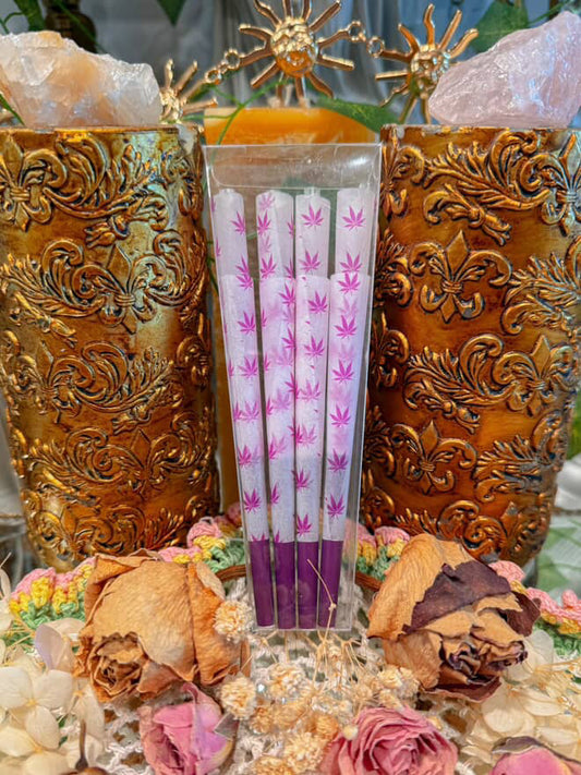 Purple Canna Leaf Cones