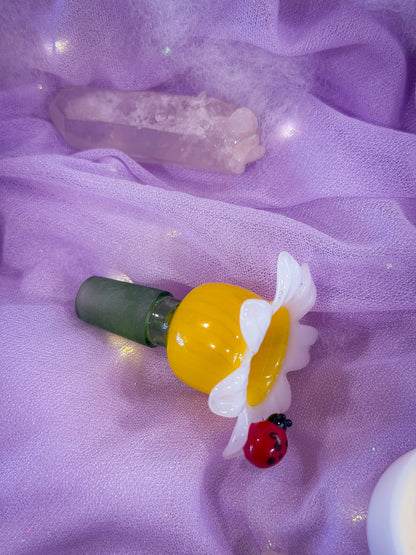 🌼 Ladybug Bloom Bowl