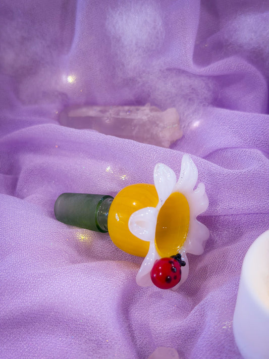 🌼 Ladybug Bloom Bowl