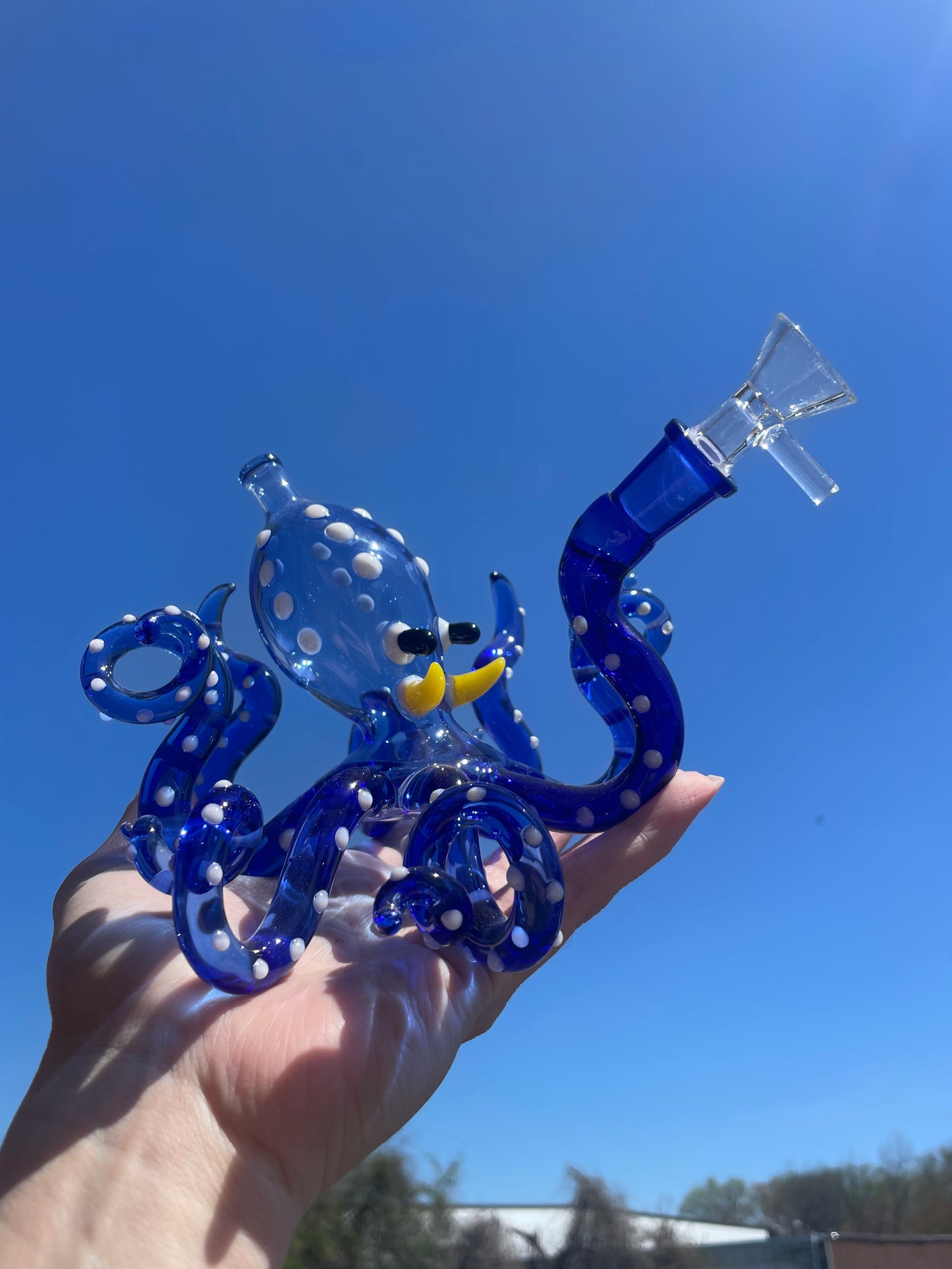 Octopus Bong